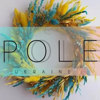 <a href="https://www.instagram.com/pole_of_ukraine?igsh=MTJtZHFlamlsZmdlaQ%3D%3D#">pole_of_ukraine</a>