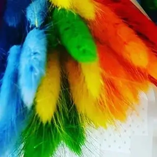 <a href="https://www.instagram.com/butonierka_if_studio?igsh=NTI2M3hrZGpsNW1x#"></a><a href="https://www.instagram.com/merylutzb?igsh=MXNiYWFucWJmazB1eA%3D%3D#"></a><a href="https://www.instagram.com/yanavrazhena?igsh=MjZucW9nMWhsdmpq#"></a><a href="https://www.instagram.com/ternopolina?igsh=MW4wN2pmcXZnazBuNw%3D%3D#">ternopolina</a>