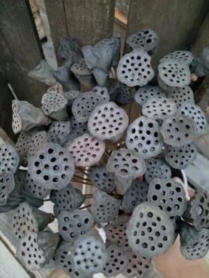 Лотос