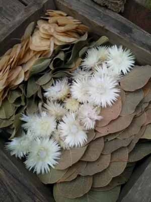 Сушені листя, мох, гриби
