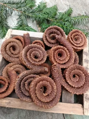 Роги