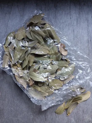 Сушені листя Олива