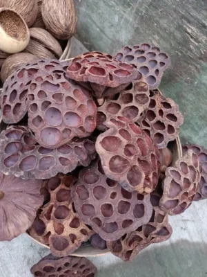 Лотос великий