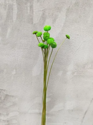 Ботао зелений