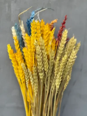 Пшениця мікс