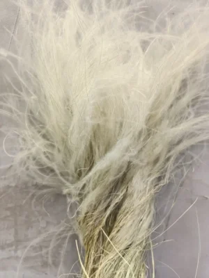 Ковила степна натуральна Stipa tirsa