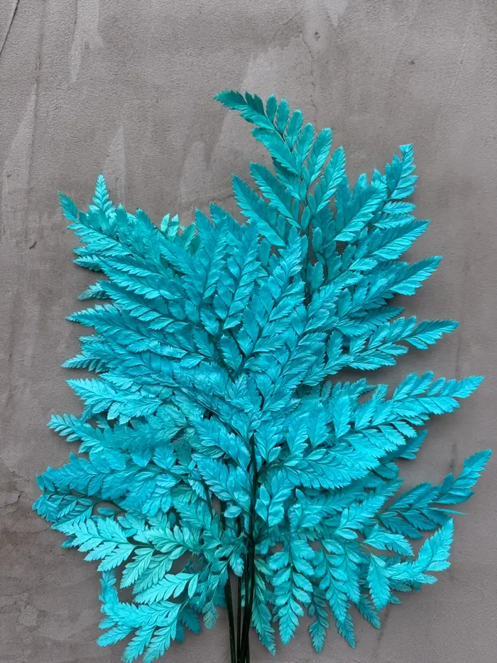 Папороть Leatherleaf fern бірюзова