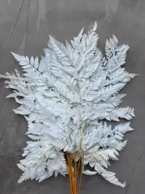 Папороть Leatherleaf fern світло-блакитна