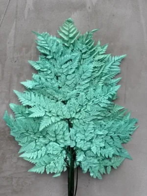 Папороть Leatherleaf fern зелено-бірюзова
