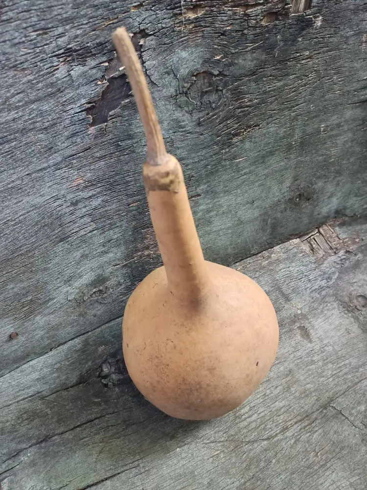 Лагенарія