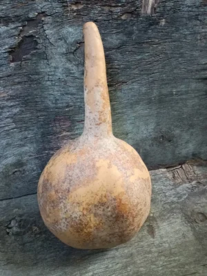 Лагенарія