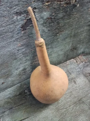 Лагенарія