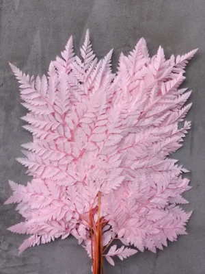 Папороть Leatherleaf fern рожева світла