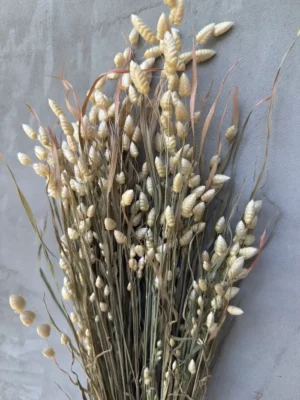 Бриза натуральна